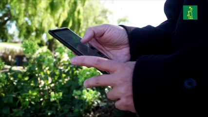 Adolescente de EEUU acusado como el "autor intelectual" de épico hackeo de Twitter