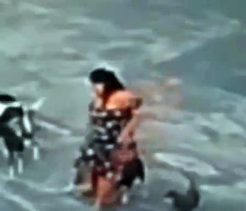 Mulher é atacada por seis cachorros no meio da rua