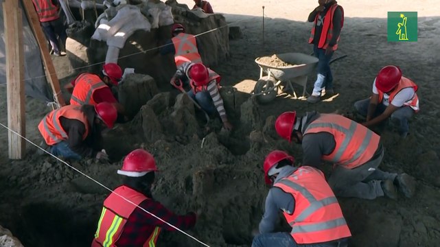 Esqueletos de mamuts quedan al descubierto durante construcción de aeropuerto en México