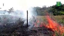Amazonía celebra su día entre el fuego y las acciones de Bolsonaro