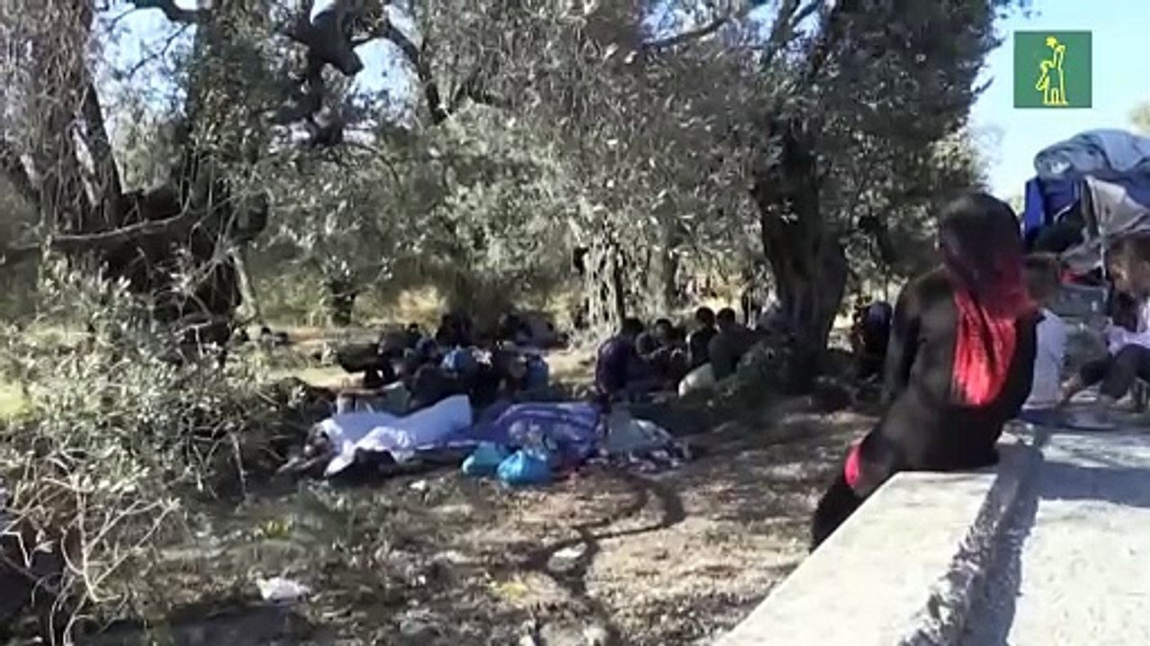 Miles de refugiados en la carretera tras los incendios en la isla griega de Lesbos