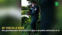 Guardaparques salvan a un patito extraviado en el Bosque de la Mujer