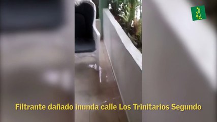Filtrante dañado inunda calle Los Trinitarios Segundo