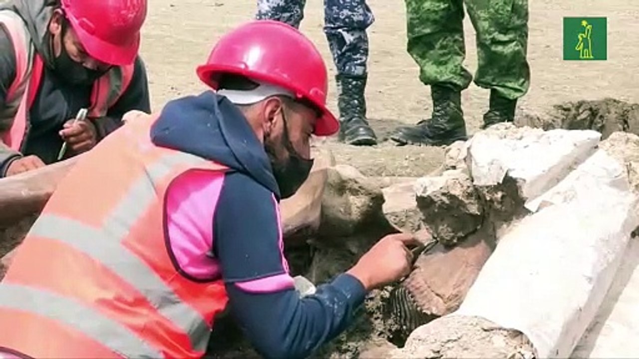 Más de 8.000 huesos han sido hallados en las obras del futuro aeropuerto mexicano