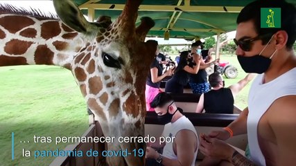 Visita a los animales en tiempos de pandemia