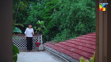 Judwaa - Episode 17 - 22nd Feb 2025 [ Aina Asif  Adnan Raza Mir ] - HUM TV