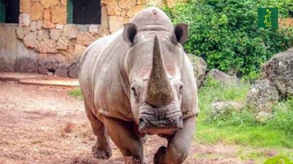 Tiempo Libre: Vuelven la Zona, el cine y el Zoológico a Santo Domingo