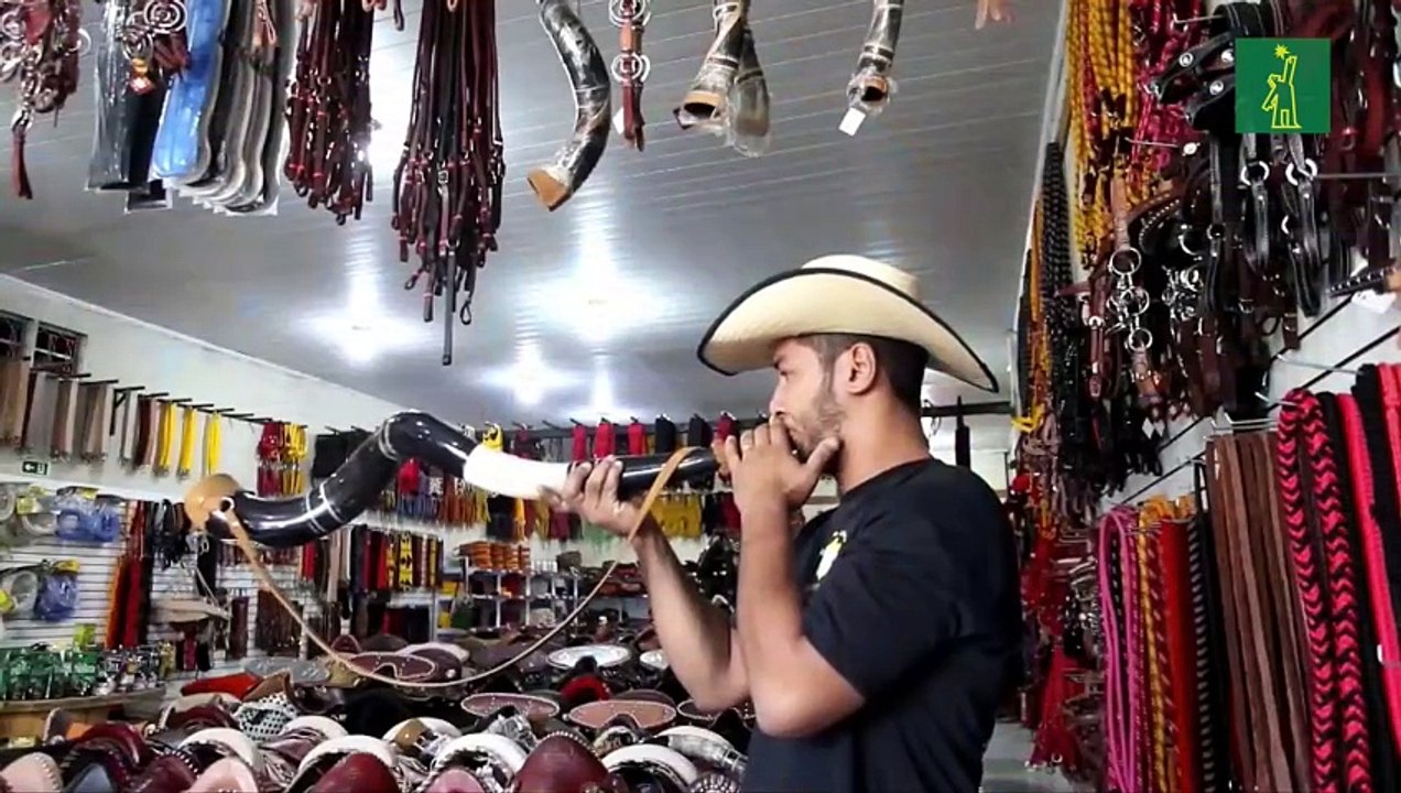 El Sertanejo: el género que se impone en el país de la samba y la bossa nova