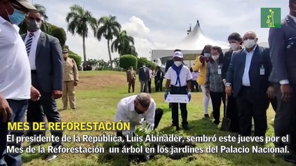 Presidente Luis Abinader encabeza siembra de árboles en Palacio Nacional