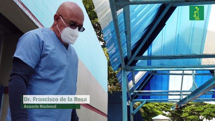 Bitácora de los Manaties: Enseñándoles a comer y olvidar a la gente