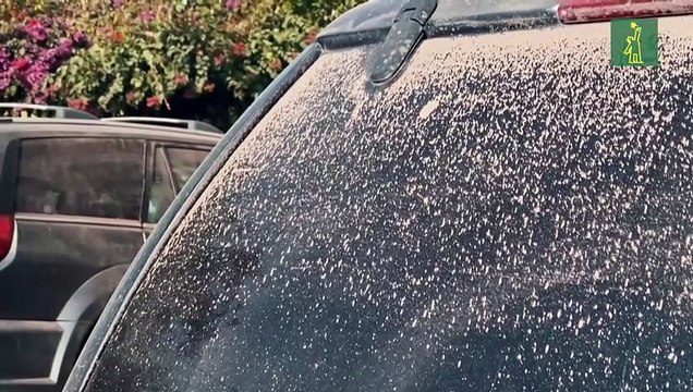 Seis provincias de Ecuador afectadas por ceniza volcánica