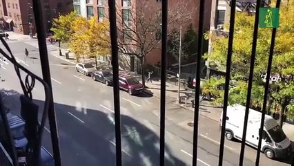 Neoyorquinos celebran en las calles el triunfo de Joe Biden