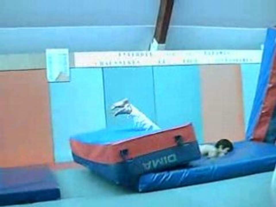 CLIP0006