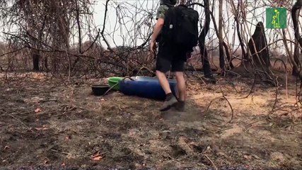 El fuego avanza en la Amazonía y Pantanal pese al negacionismo de Bolsonaro