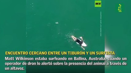 Dron muestra el encuentro cercano entre un tiburón y un surfista