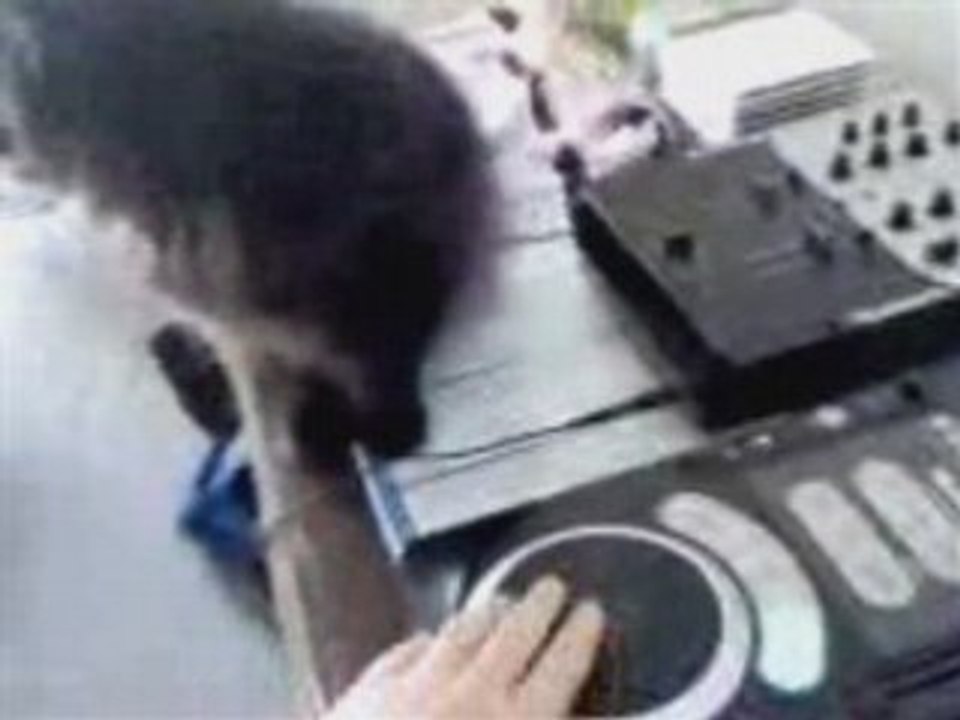 aprentie dj