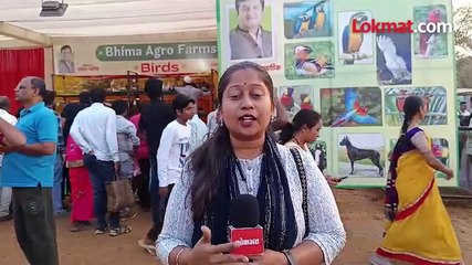 अबब २५ कोटींचा जगातील सर्वांत उंच ठरलेला विधायक रेडा_1