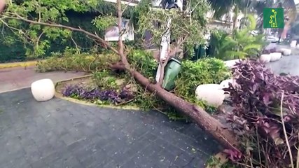 Zeta se degrada a tormenta tropical tras tocar tierra en el Caribe mexicano