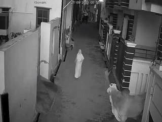 Un niño salva a su abuela del ataque de un toro en la India