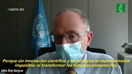 La FAO alienta a una honda transformación para superar peor hambruna en 30 años