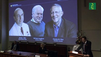 Nobel de Medicina para tres descubridores del virus de la hepatitis C, en plena pandemia