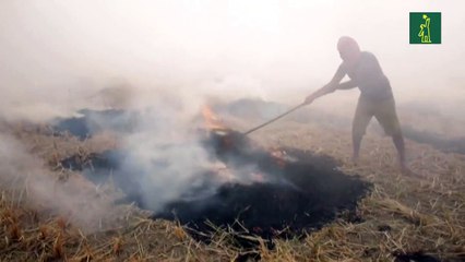 La contaminación vuelve a empobrecer el aire de Nueva Delhi en plena pandemia