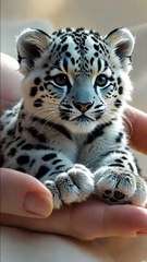 Small but mighty: adorable animals on my hands