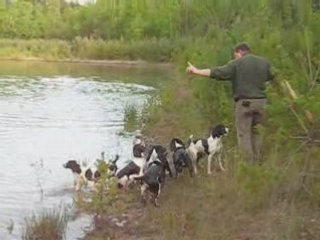 sortie pédagogique pour les chiots