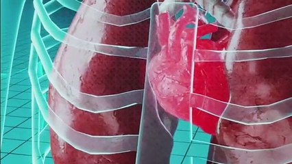 Necesitas un Nacho: "Haigas" o "hayas", ¿cuál es correcta?