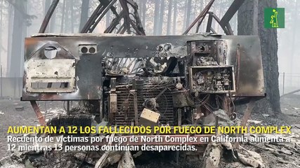 Aumentan a 12 los fallecidos por fuego de North Complex en California
