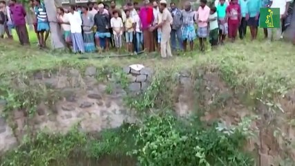 Una operación de rescate tan grande como un elefante