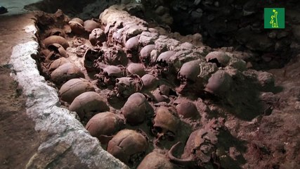 Hallan en México otra zona del tzompantli, torre azteca de cráneos humanos