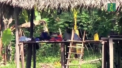 Comarca panameña Ngäbe-Buglé atemorizada por masacre a manos de una secta