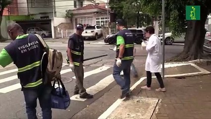 Sao Paulo es asediada por los escorpiones durante el verano