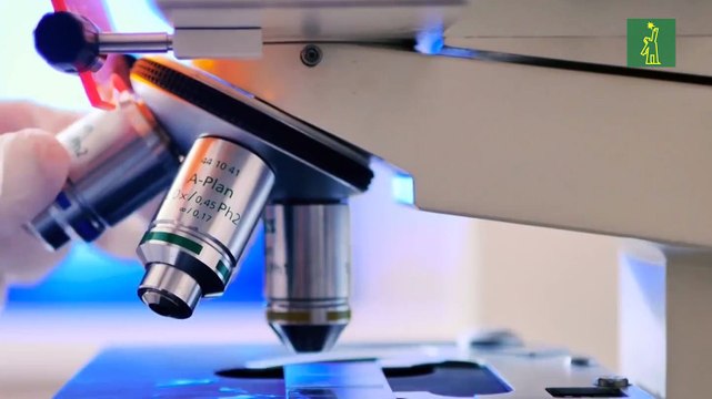 Chile y Colombia se unen a plan mundial para obtener vacunas de COVID-19