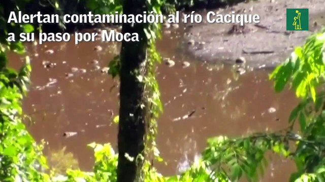 Alertan contaminación al río Cacique a su paso por Moca