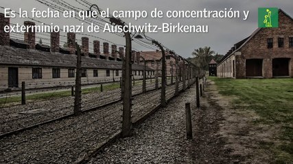Día Internacional de Conmemoración en Memoria de las Víctimas del Holocausto