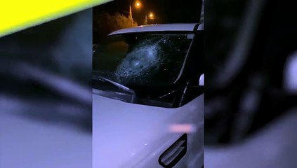 Vehiculos