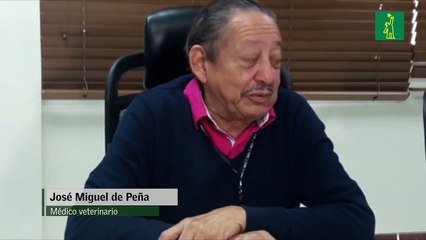 José  Miguel Peña: "La gripe aviar es un problema veterinario"