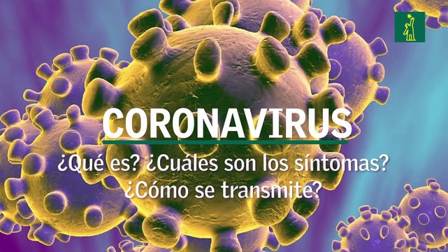 Coronavirus: ¿Qué es? ¿Cuáles son los síntomas? ¿Cómo se transmite?