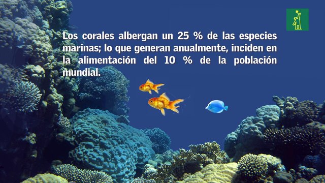 Sobrepesca: Problema que afecta a los arrecifes dominicanos