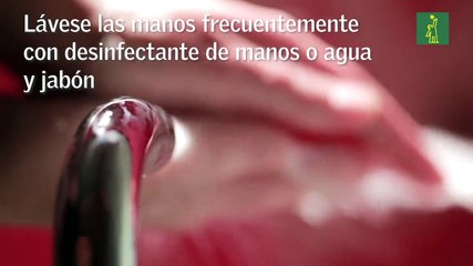 ¿Cómo prevenir el Coronavirus?