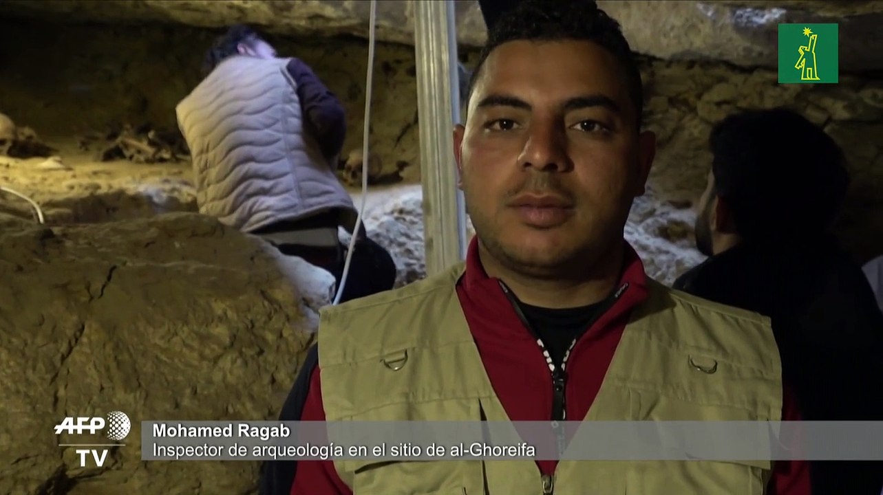 Descubren en Egipto tumbas de sacerdotes de los dioses Thot y Horus