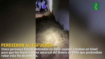 Atrapan a cinco bandidos que cavaban un túnel para robar banco en Chile