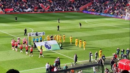 Fan cam: Rewatch the celebrations as Brighton thrash Southampton