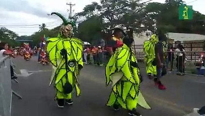 Inicio del Carnaval Vegano 2020