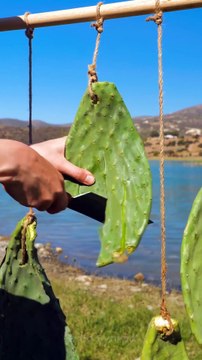 Cahiers FAIT MAISON : BRICOLAGE : des carnets personnalisés à partir de rien !