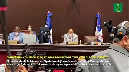 Diputados conforman comisión para estudiar el proyecto de las tres causales del aborto.