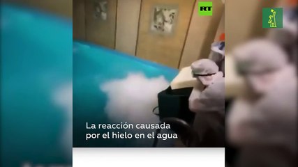 El cumpleaños de una influencer acaba en tragedia