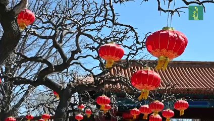 China intenta poco a poco volver a una vida normal